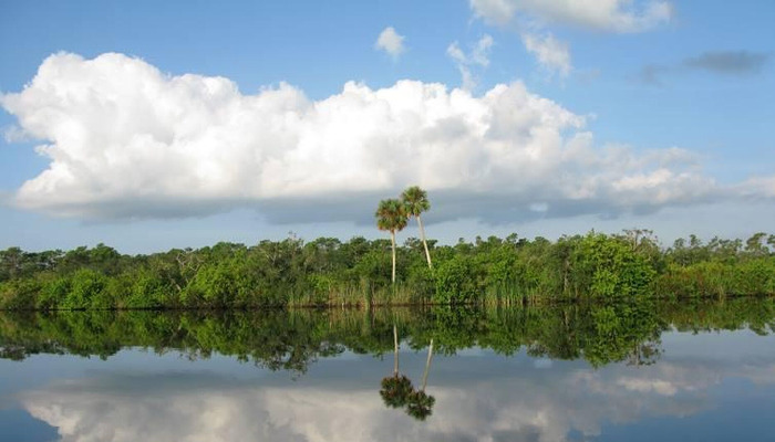 Banana River Boat Tour