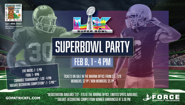 Superbowl Party