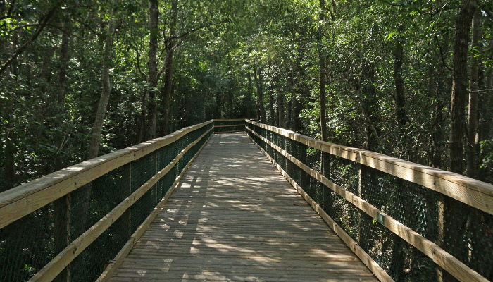 Guided Hike through Turkey Creek 