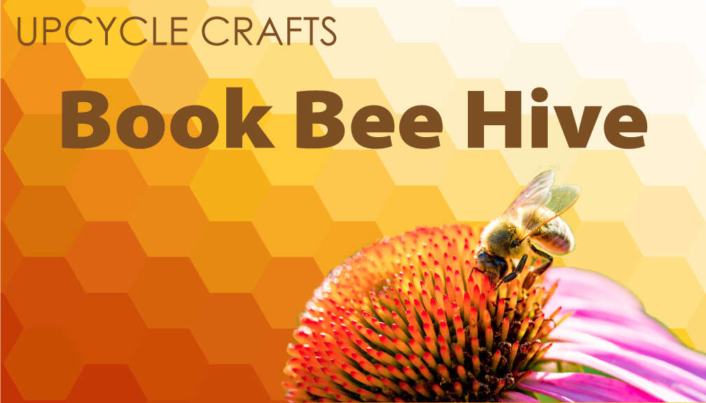 Library Upcycle Bee Hive