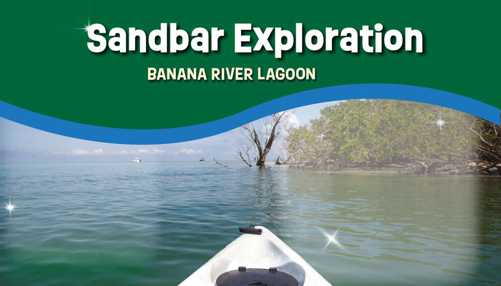 Sandbar Exploration banana river lagoon ODR